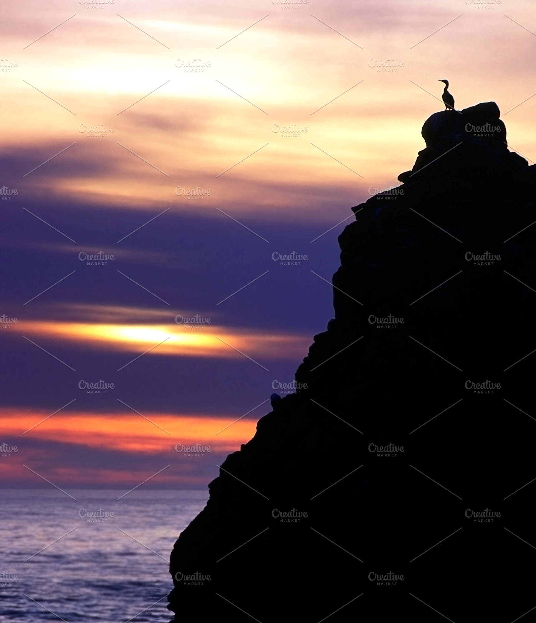 Silhouette Cliff and Bird, a Nature Photo by THP Creative