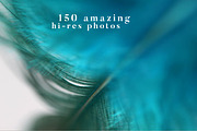 Feather Toolkit - Photos & Graphics, a Mockup by Cruzine (Thumbnail 5 of 9)
