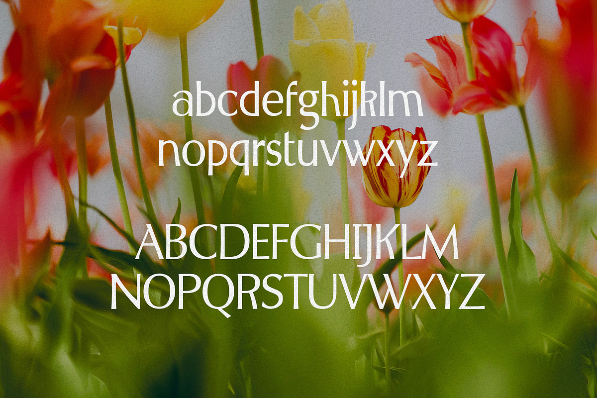 Spring Melody - Humanist Typeface, a Sans Serif Font by HipFonts (Photo 4 of 7)