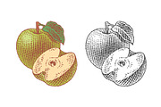 Green apple and apple tree leaf, a Food Illustration by Irina Trusova (Thumbnail 1 of 3)