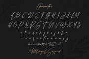 Rindu Alam - Signature Script Font, a Script Font by StringLabs (Thumbnail 5 of 6)