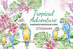 Tropical Parrots Watercolor Clipart
