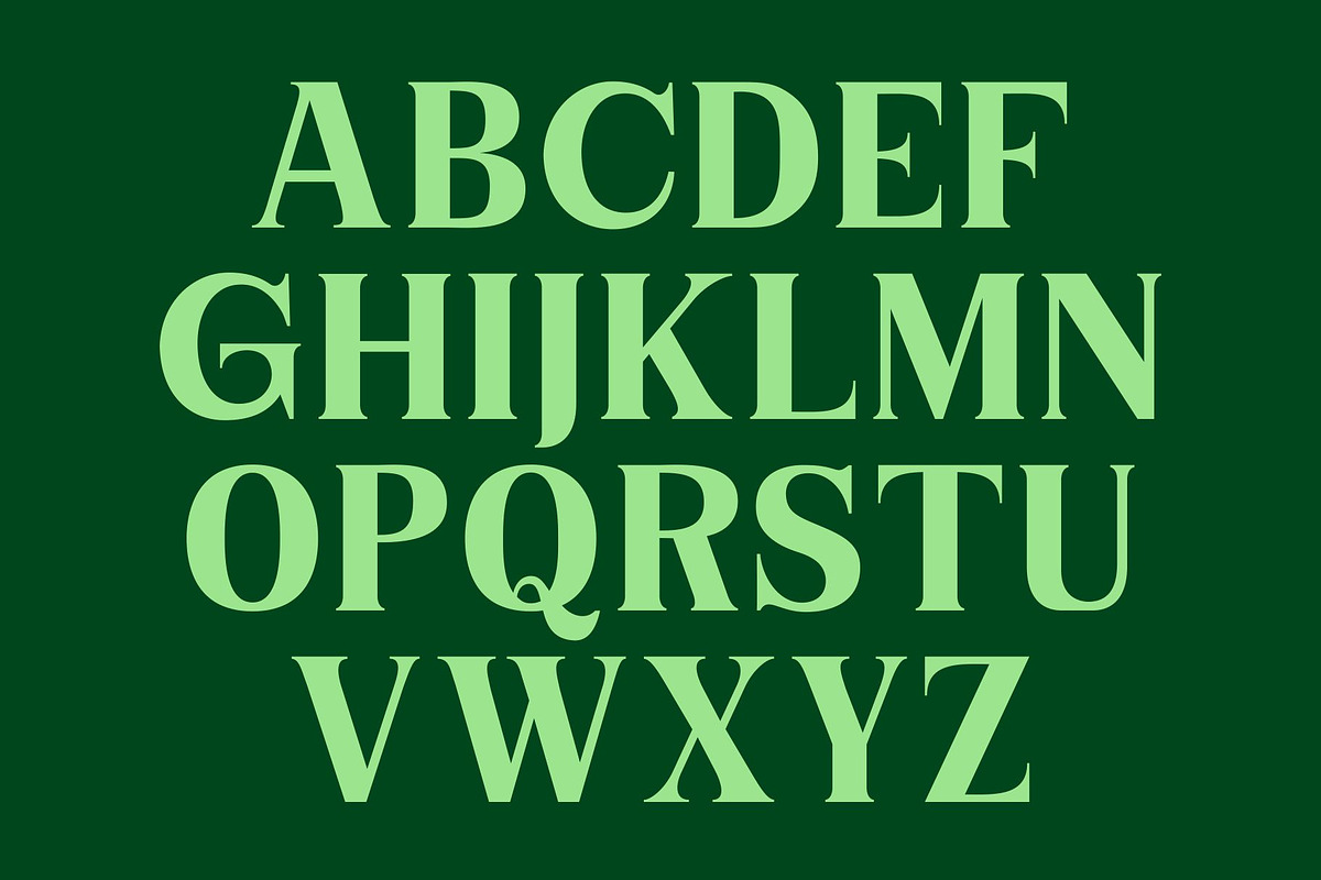 Niecher-Serif Display, a Serif Font by takoliko (Photo 9 of 13)