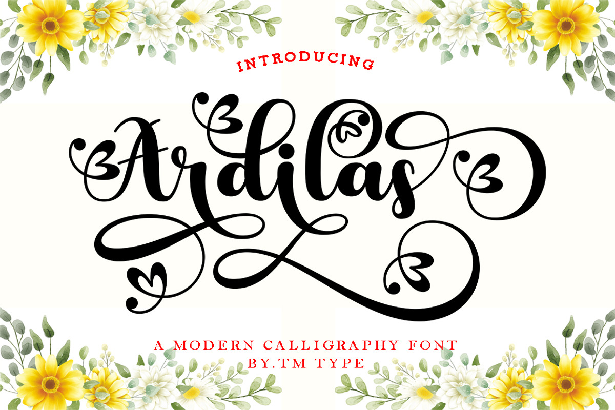 Ardilas, a Script Font by TM Type (Photo 1 of 10)