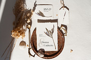 Herbarium II - Dried Pressed Flowers, an Illustration by AnaPierceArt (Thumbnail 2 of 6)