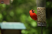 CHROME, a Preset Add-On by ProPreset (Thumbnail 8 of 13)