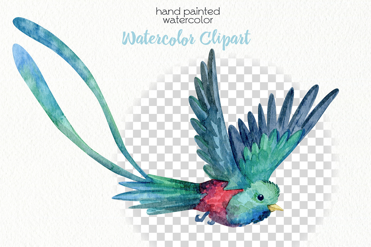 Watercolor Birds Clipart, an Animal Illustration by OllyKo Art (Photo 5 of 7)