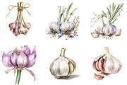 Garlic Watercolor Clipart Bundle, an Illustration by DreamArtGraphic (Thumbnail 2 of 4)