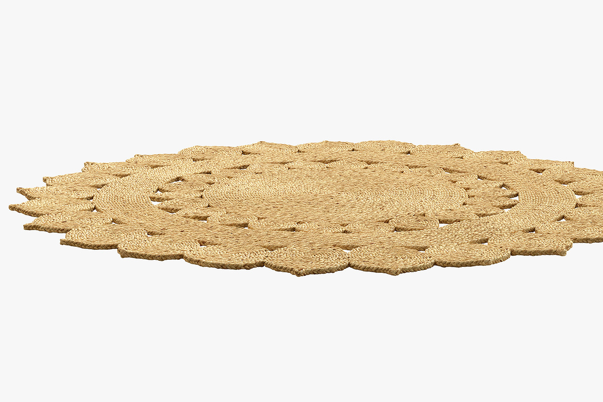 SAFAVIEH Iwan Casual Jute Rug L size, a Furniture 3D Model by 3dmitruk (Photo 2 of 11)