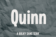 Quinn | A Bulky Sans Serif, a Sans Serif Font by Emalee Roth (Thumbnail 1 of 6)