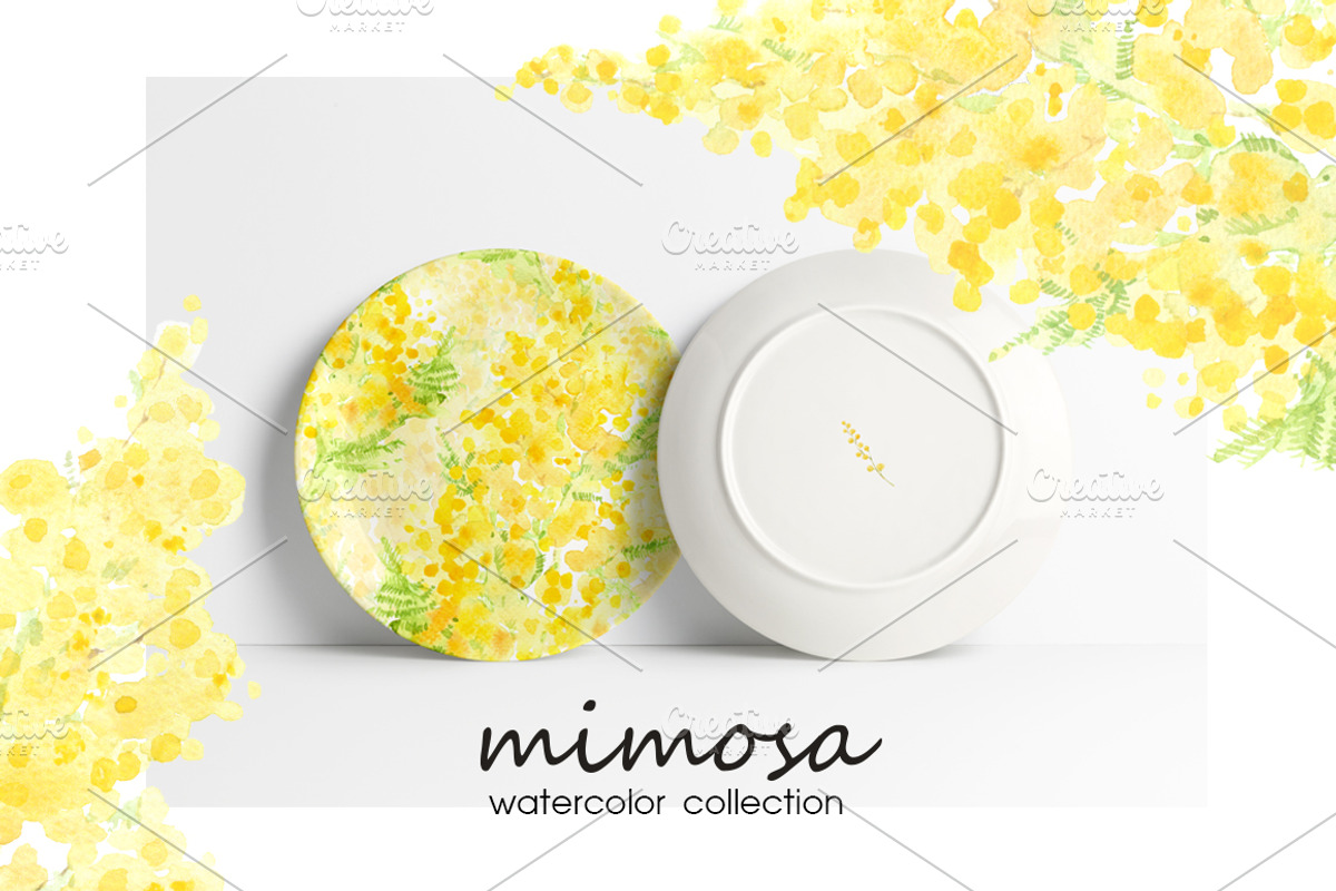 Mimosa. Watercolor collection., a Decorative Illustration by maritime_m (Photo 5 of 6)