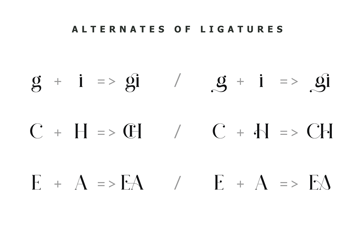 Pelagic Bird - Unique Ligature Font, a Serif Font by Yahya Type (Photo 17 of 22)