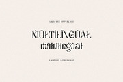 Ragnheidr Unique Serif, a Serif Font by Cruzine (Thumbnail 8 of 8)