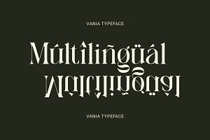 Vania - Elegant Branding Typeface