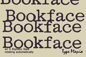 Bookface TM – Dynamic Grunge-y Type, a Slab Serif Font by Type Mania