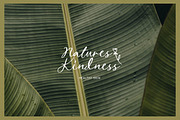 Pretty Garden Font Trio with Doodle, a Font by Letterhend Studio (Thumbnail 11 of 12)