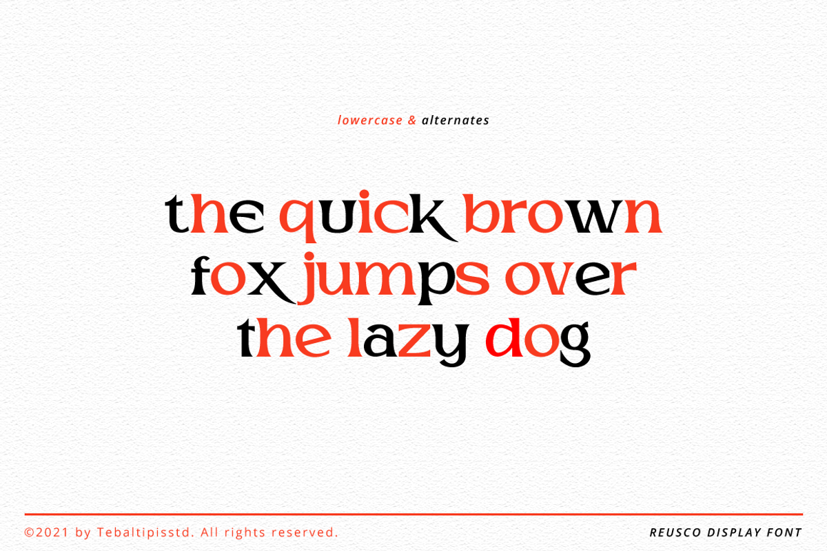 Reusco - Display Typeface, a Serif Font by tebaltipislab (Photo 6 of 15)