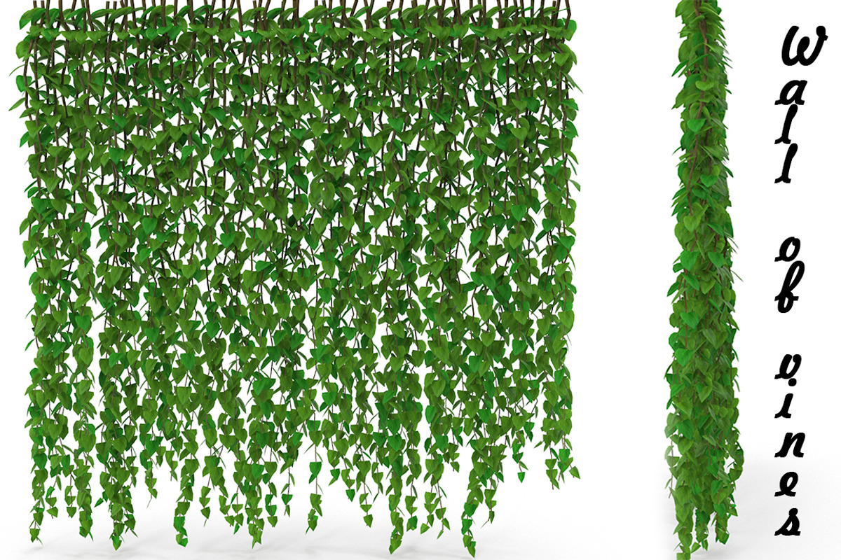 Wall of vines, an Environmental 3D Model by AndrewWhite (Photo 1 of 5)