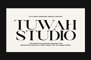 Gian Beart Elegant Serif Font, a Serif Font by Perfectype (Thumbnail 2 of 8)
