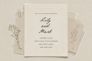 Archive 01 - Editorial Font Duo, a Script Font by Davide Bassu (Thumbnail 5 of 15)