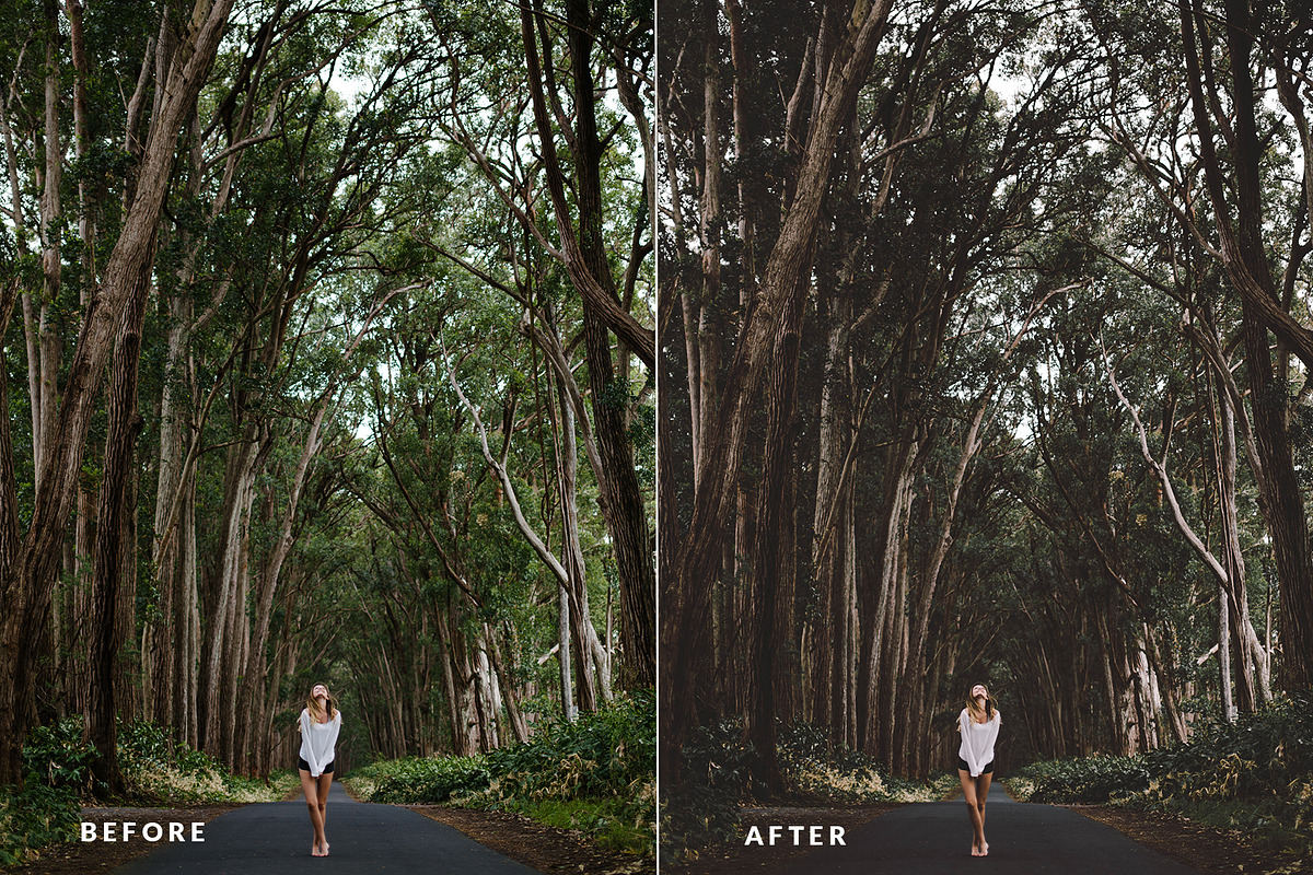 Oneday: Analog & Aesthetic Lr preset preview 3