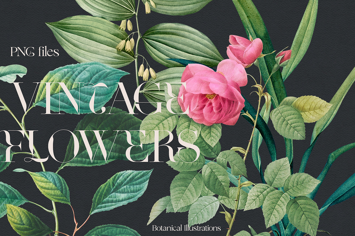 VINTAGE FLOWERS Vol.2 Watercolor Png, an Object Graphic by Oksana Trygub (Photo 5 of 9)