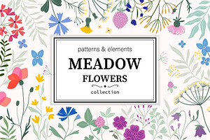 Meadow flowers collection