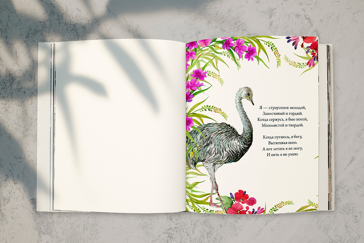 Animals Australia Watercolor, an Animal Illustration by MitrushovaArt (Photo 7 of 10)