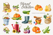 Watercolor harvest collection, a Decorative Illustration by Natalia Fedorova (Thumbnail 4 of 9)