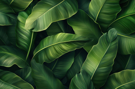 Lush Green Tropical Leaves Nature Ba, a Background Photo by Pixeness