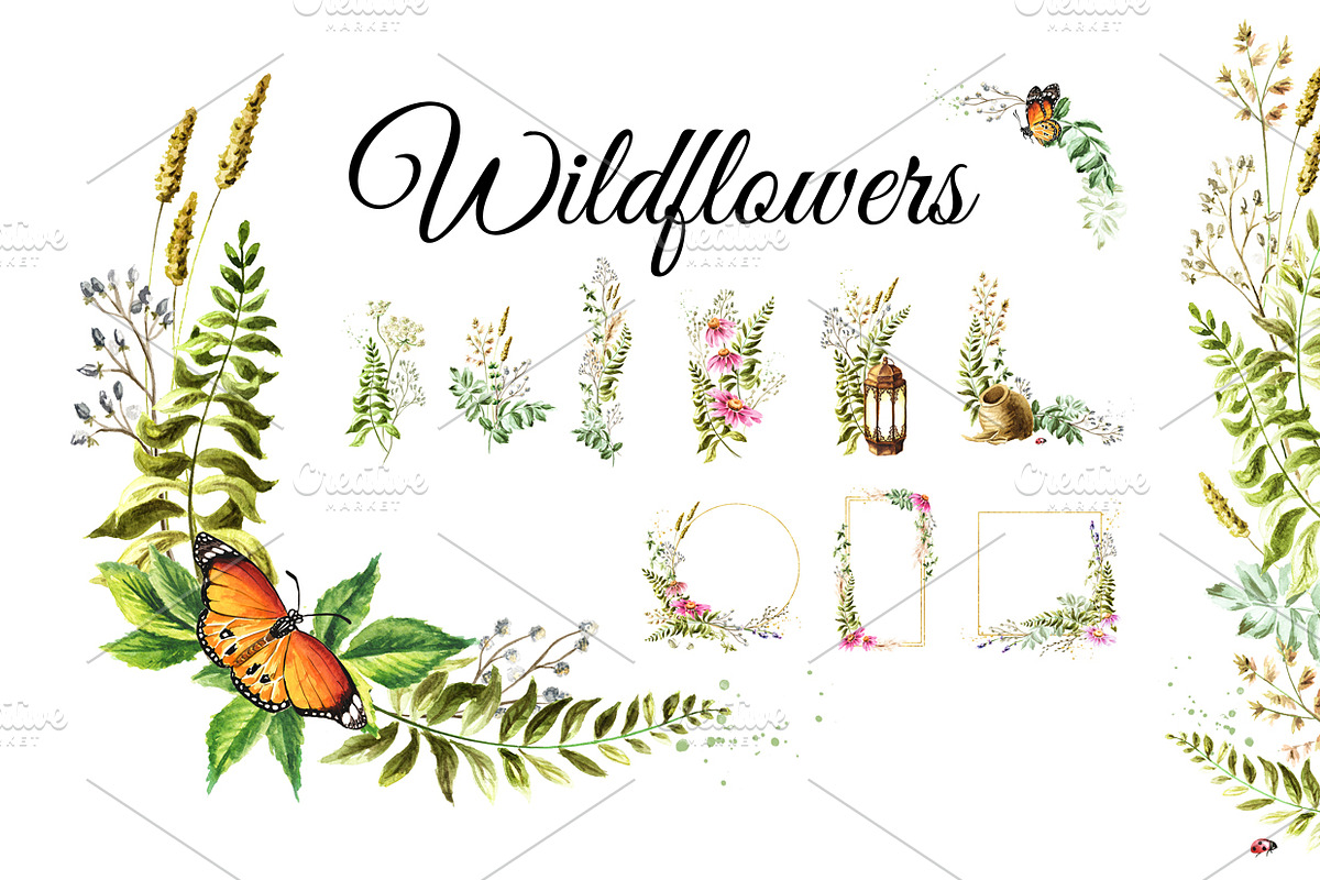 Wildflowers, a Decorative Illustration by Daria Ustiugova (Photo 1 of 14)