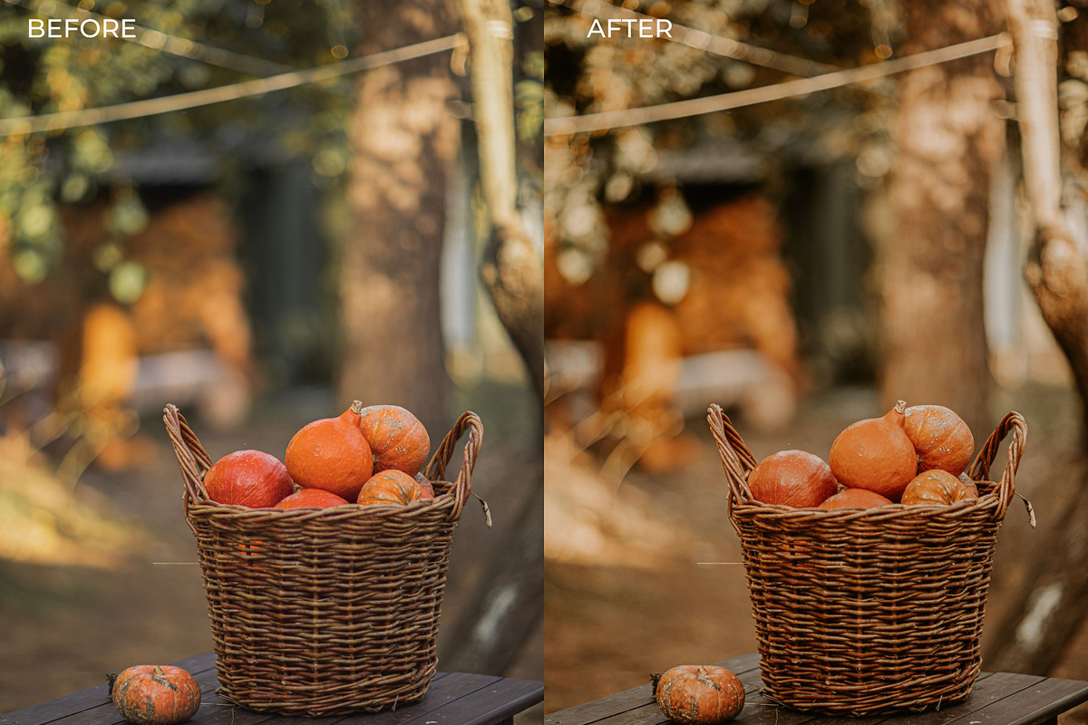 5 PUMPKIN LIGHTROOM PRESETS, an Action Add-On by Emma Kate Creative (Photo 4 of 10)