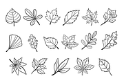 Hand Drawn Fall Leaves Clipart, a Seasonal Illustration by LemonDesign (Thumbnail 3 of 3)