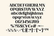 Thannie | Modern Display Serif, a Serif Font by BlancaLab Studio (Thumbnail 5 of 5)