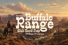 Buffalo Range - Slab Serif Font