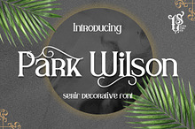 Park Wilson