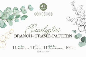 Eucalyptus branches, frames patterns