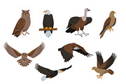 Bird collection, an Animal Illustration by Elena Istomina (Thumbnail 7 of 7)