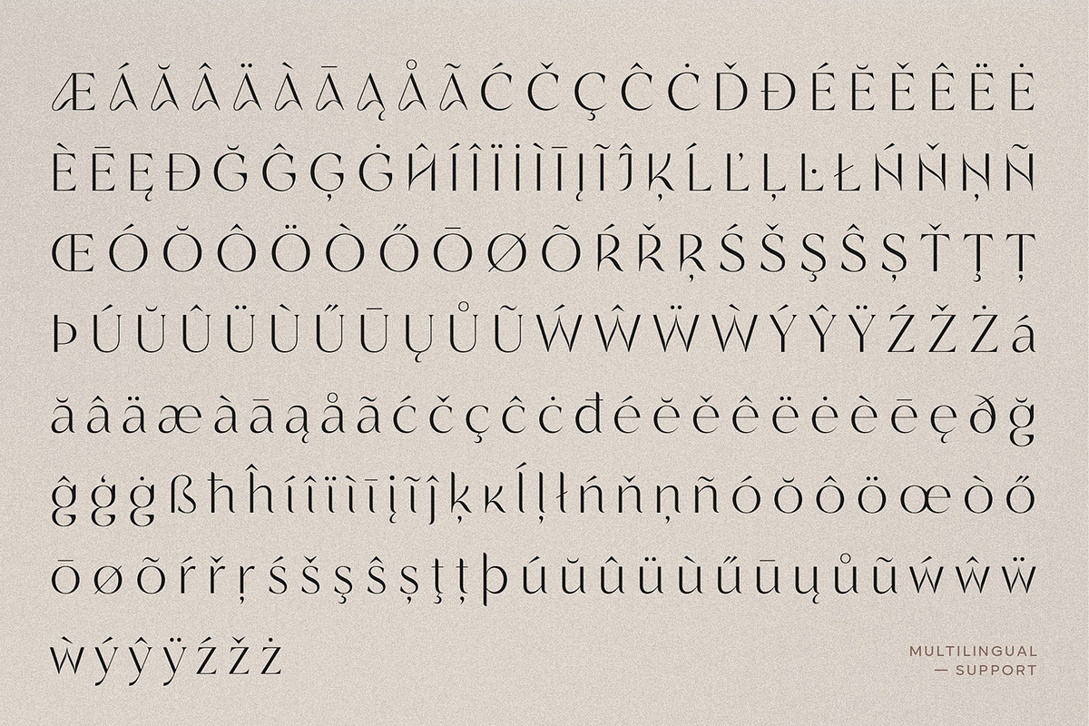 Regalic | Font Family, a Sans Serif Font by Digitype Studio (Photo 14 of 14)