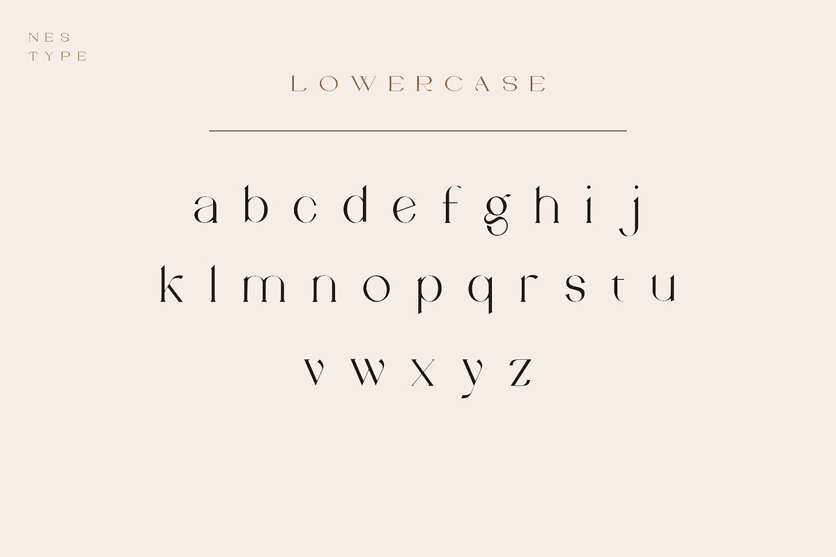 Vilaka Modern Serif, a Serif Font by Nestype (Photo 4 of 10)