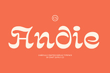CS Andie – Trippy Font