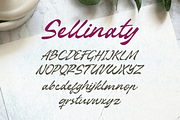 Sellinaty - Beautiful Script Font, a Script Font by overlaytemplates (Thumbnail 4 of 5)