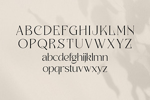 Badoga Modern Serif Font