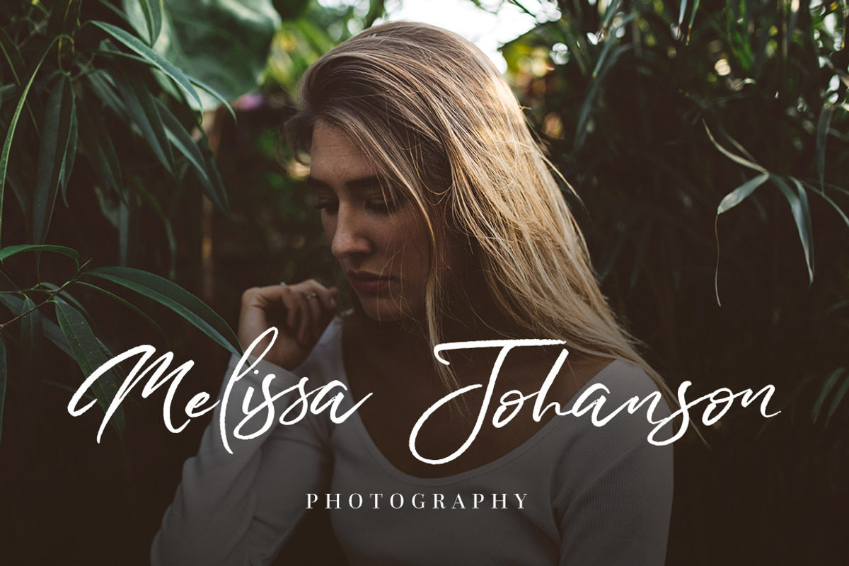 Wild Heart - Brush Font Set 40% OFF, a Script Font by Dirtyline Studio (Photo 2 of 12)