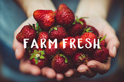 Wild Woods: A Hand-Lettered Font, a Sans Serif Font by Britt Fabello (Thumbnail 4 of 6)