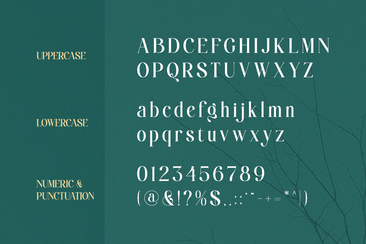Aielenea - Elegant Luxury Serif Font, a Serif Font by Qweera Studio (Photo 12 of 12)