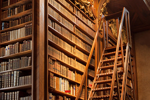 Old bookcase with books
