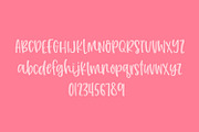 Joyfully Handwritten Font, a Script Font by Sabrina Schleiger Design (Thumbnail 3 of 4)