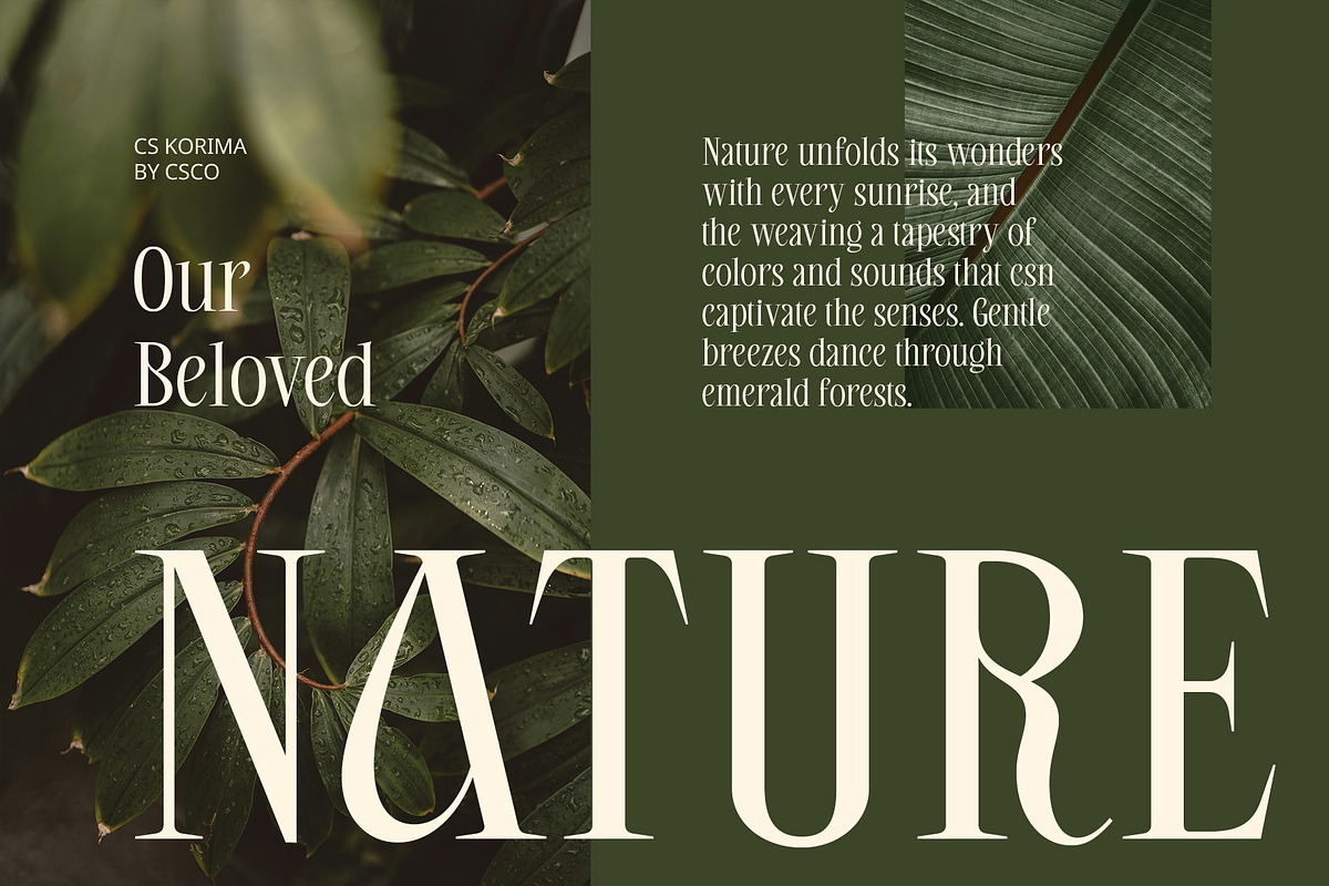 CS Korima – Elegant Font, a Serif Font by Craft Supply Co. (Photo 6 of 8)