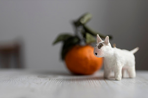 Small white dog figurine, a Wallpaper Photo by Imaginarium